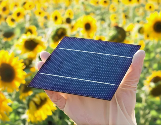 Energieeffizienz in Grünwald: KfW-Förderung für nachhaltige Sanierung